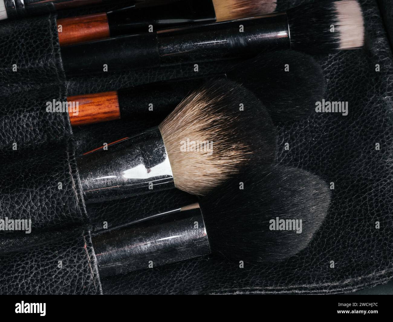 makeup brushes in professional leather case close-up Stock Photo