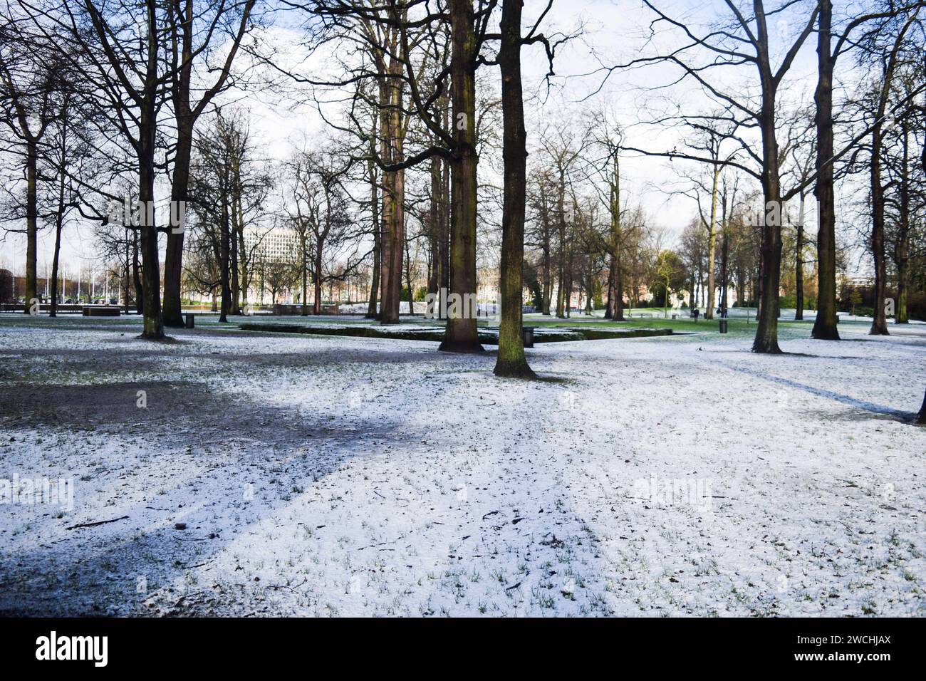 Netherlands. 14th Jan, 2024. Snowfall blankets the northern region of