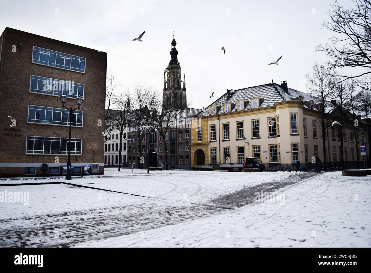 Netherlands. 14th Jan, 2024. Snowfall blankets the northern region of