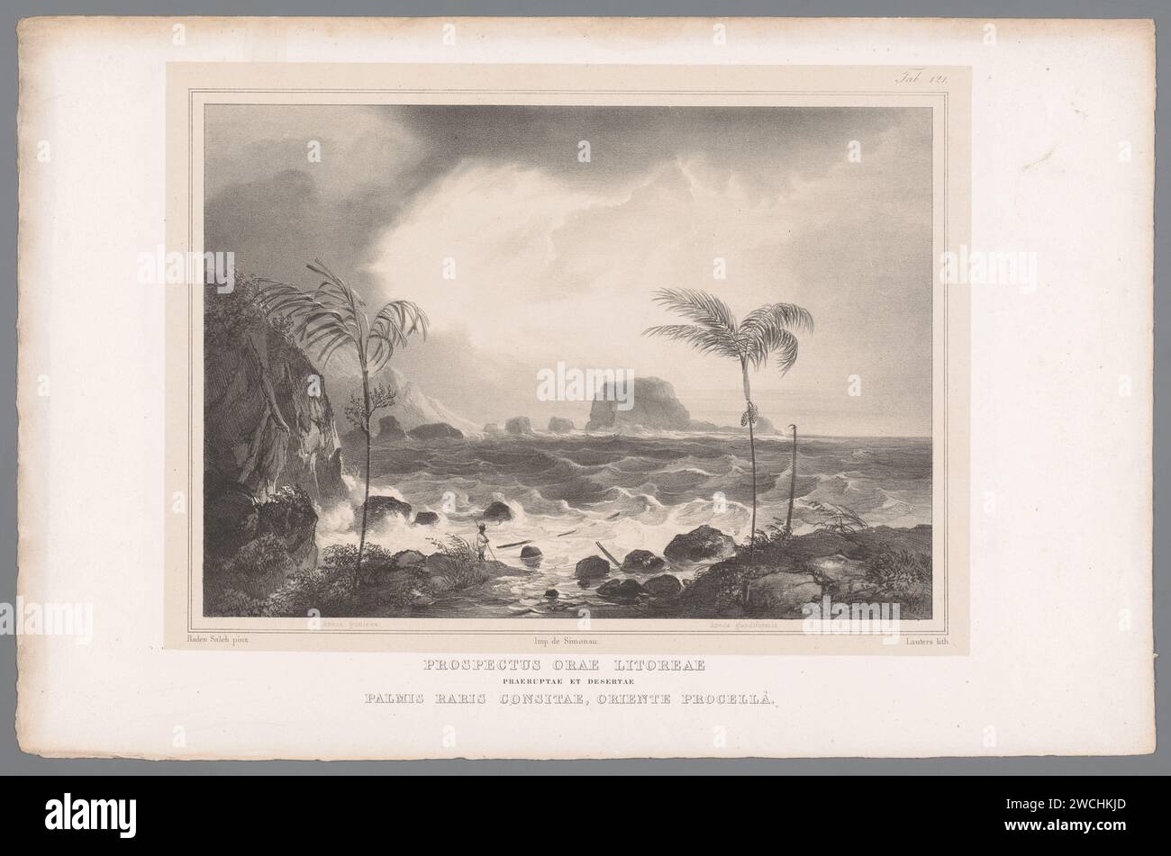 Two palms on the banks of a water feature, Paulus Lauters, After Raden Sarief Bastaman Saleh, 1838 - 1843 print Two types of palms: Areca Punicea or Pinanga Rumphiana, and the Areca Glandiformis. Numbered at the top right: tab. 121.  paper.  plants; vegetation. landscapes with waters, waterscapes, seascapes (in the temperate zone) Stock Photo