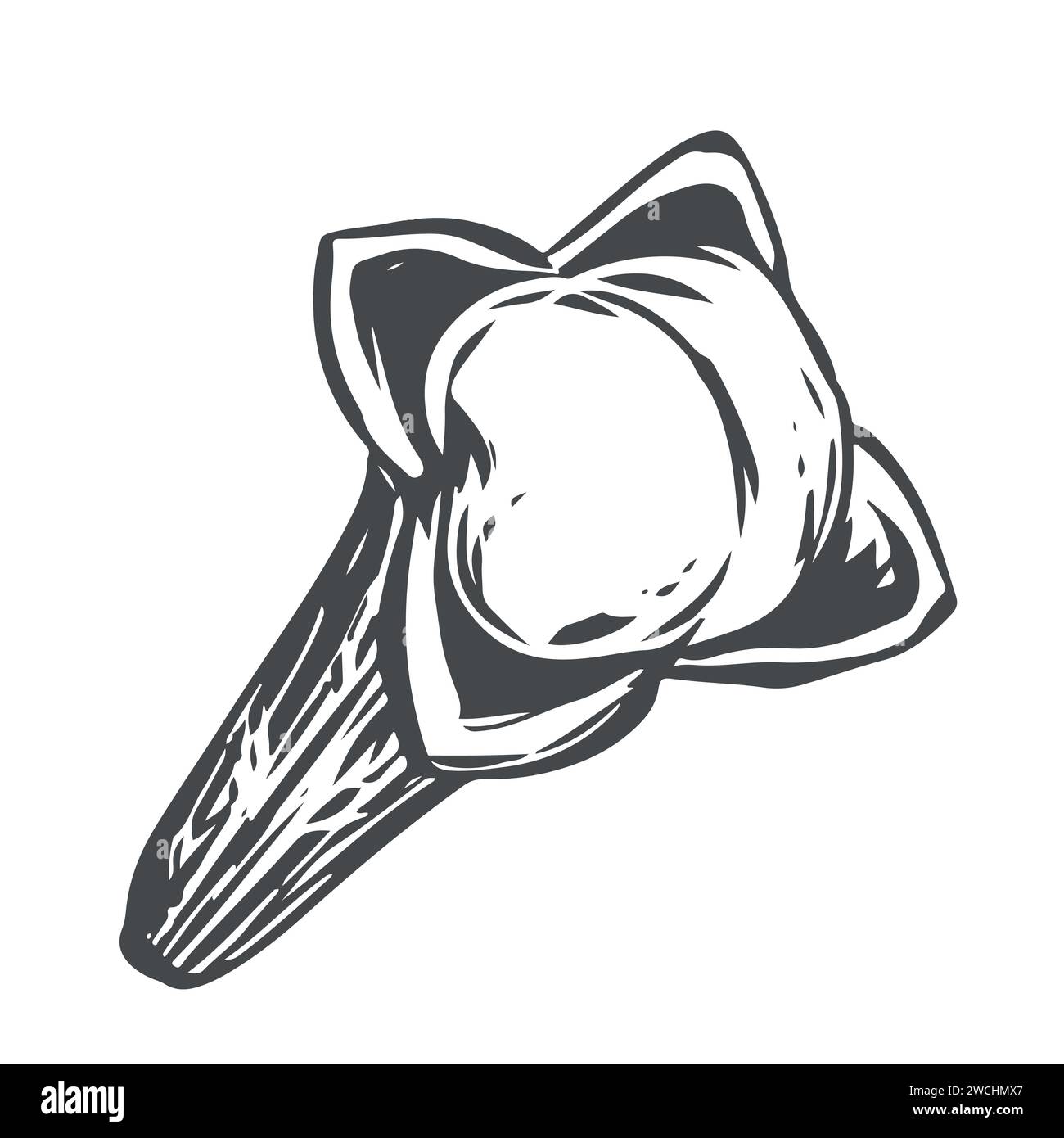 Handmade clove spice. Vector aromatic ingredient in engraving style