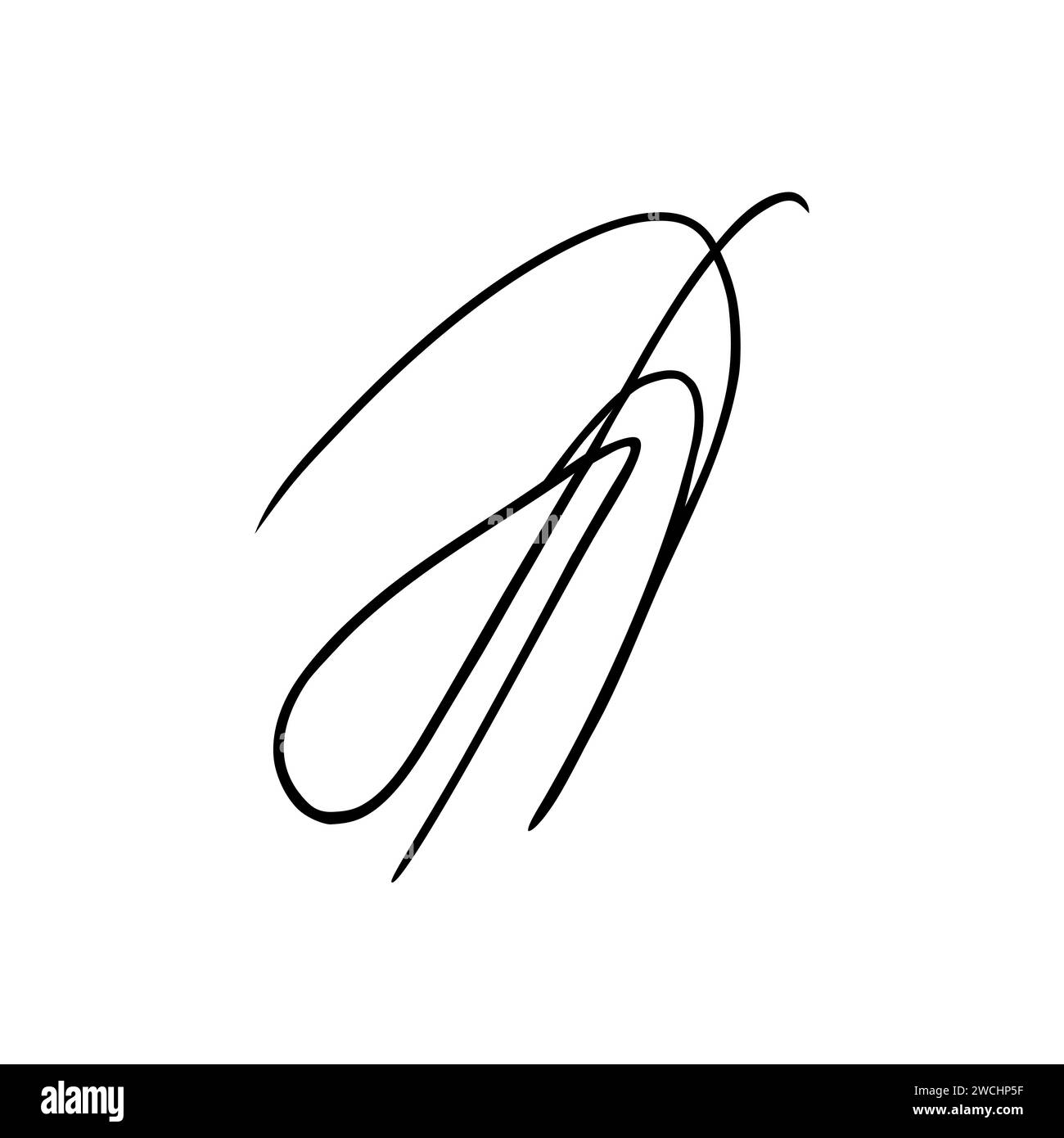 Vector signature. Autograph hand drawn. Scrawl signature. Handwritten autograph. Handwriting scribble by pen. Written black sign isolated on white Stock Vector
