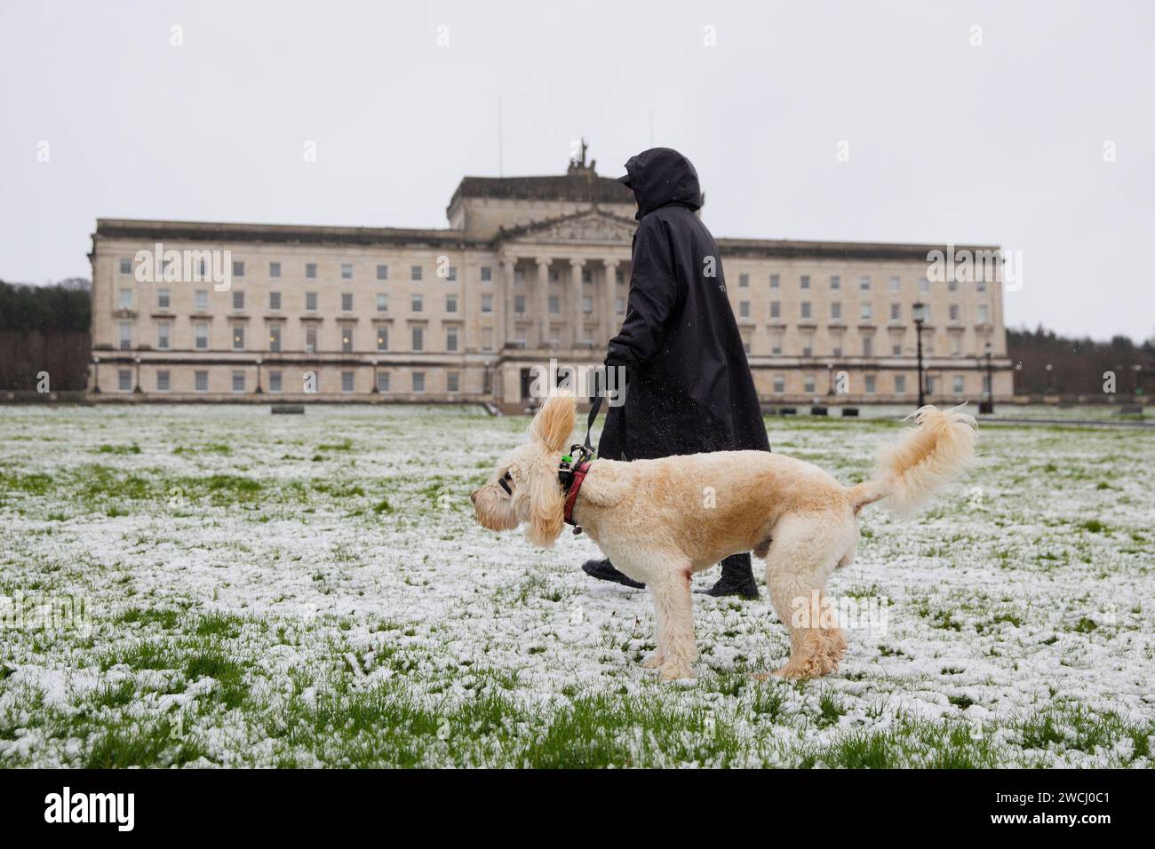 Snow belfast 2024 hires stock photography and images Alamy
