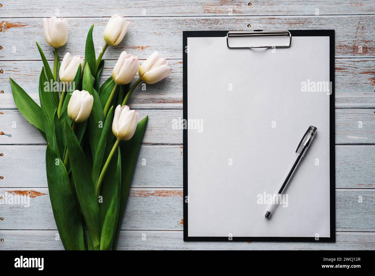 White bouquet of tulips on wooden blue background with blank paper ...