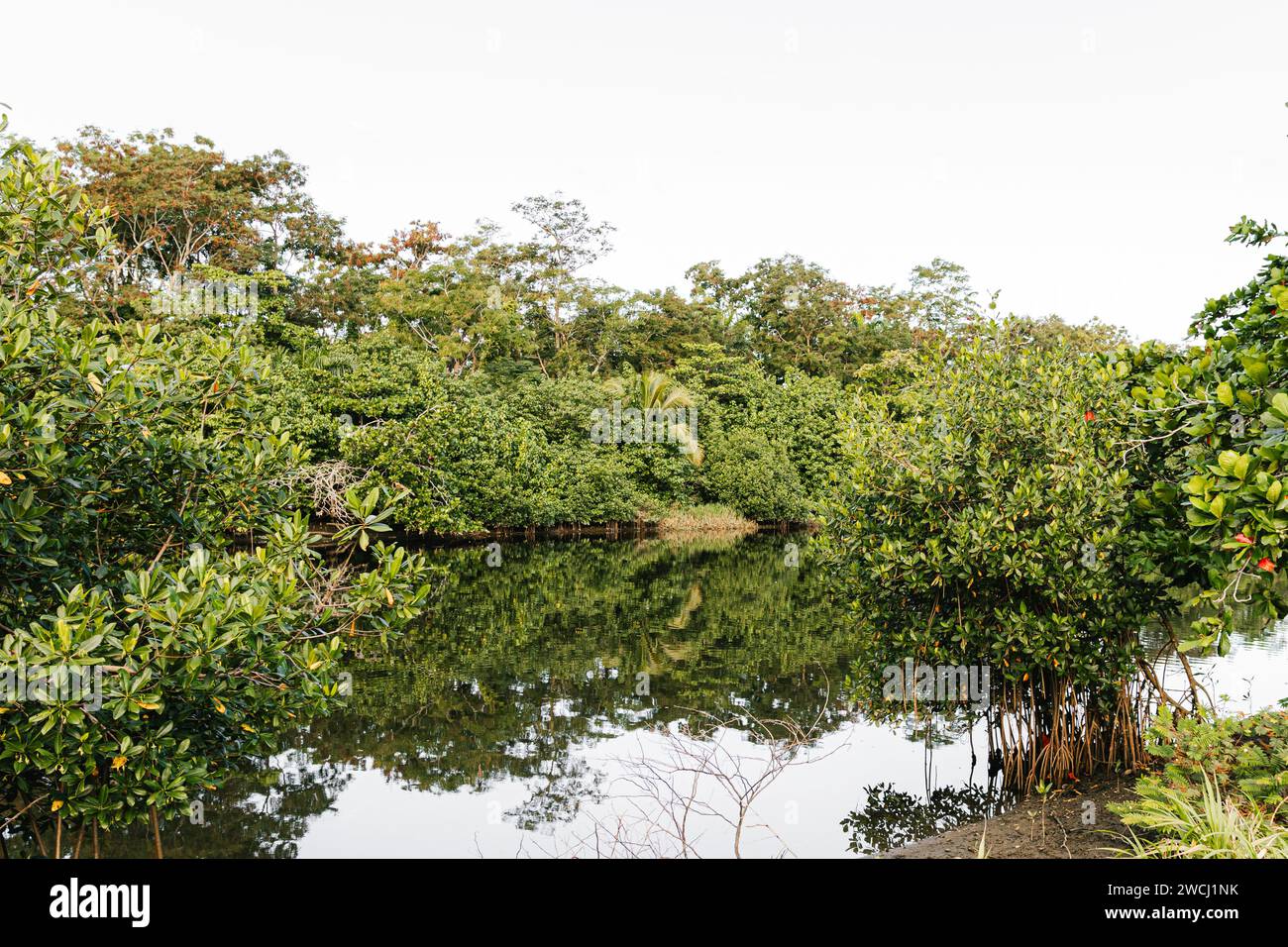 Beautiful tranquil riverscape hi-res stock photography and images - Alamy