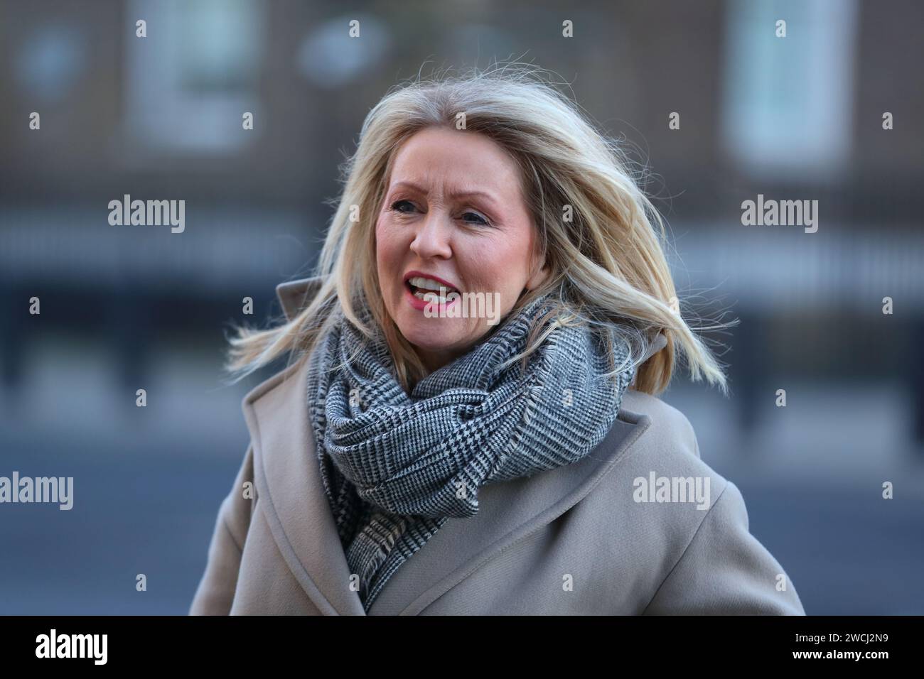 London, United Kingdom. 16th Jan, 2024. Esther McVey, Minister without ...