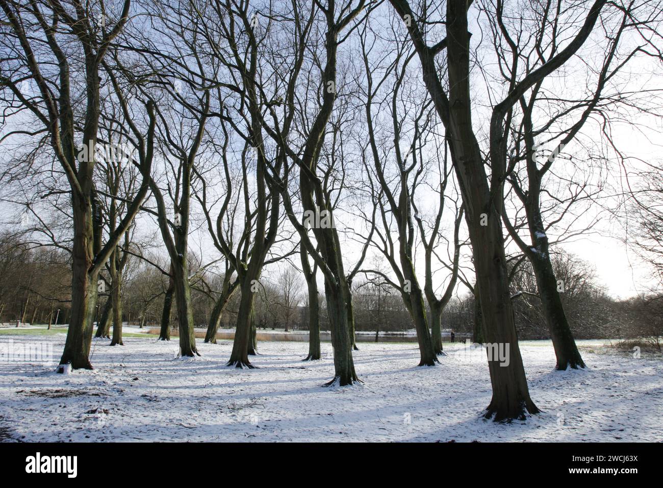 Amsterdam, Netherlands. 16th Jan, 2024. A general view shows during