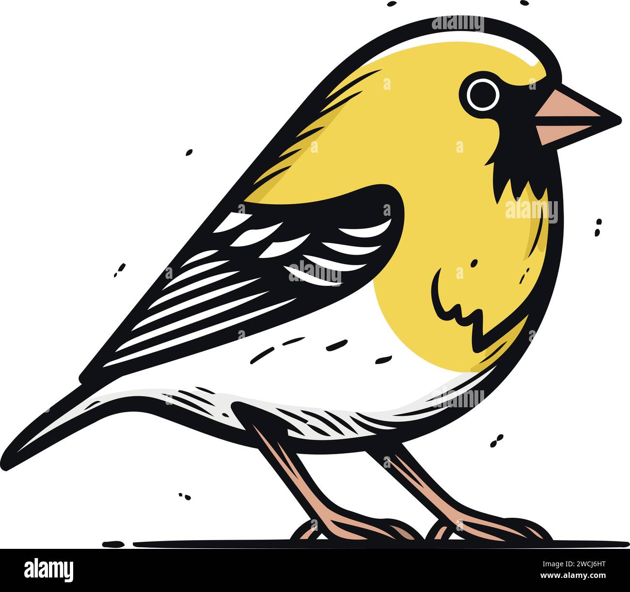 Vector illustration of a goldfinch bird. Isolated on white background