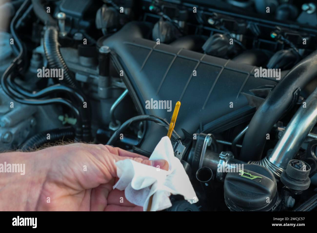 the mechanic checks the oil level in the car, close-up view and on a ...