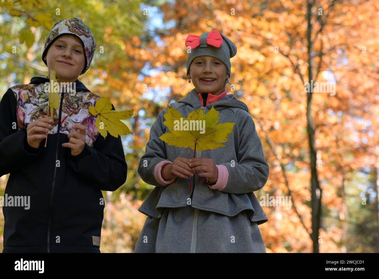 two smiling siblings brother and sister hold nice autumn leaves in ...