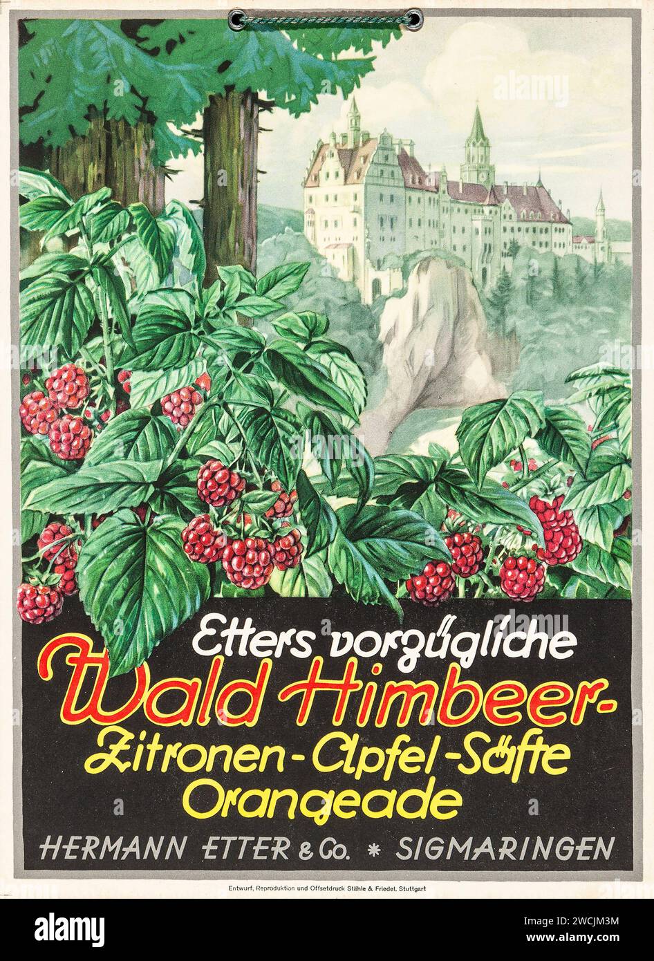 Wald himbeer hi-res stock photography and images - Alamy