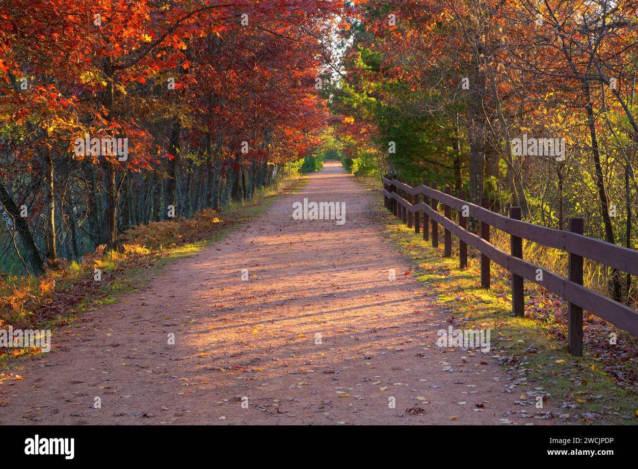 Rail Trail, Bearskin State Trail, Minocqua, Wisconsin Stock Photo Alamy