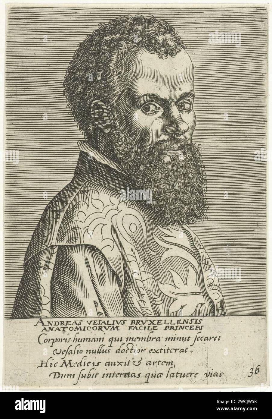 Portret van Andreas Vesalius, anonymous, after Philips Galle, after Jan ...