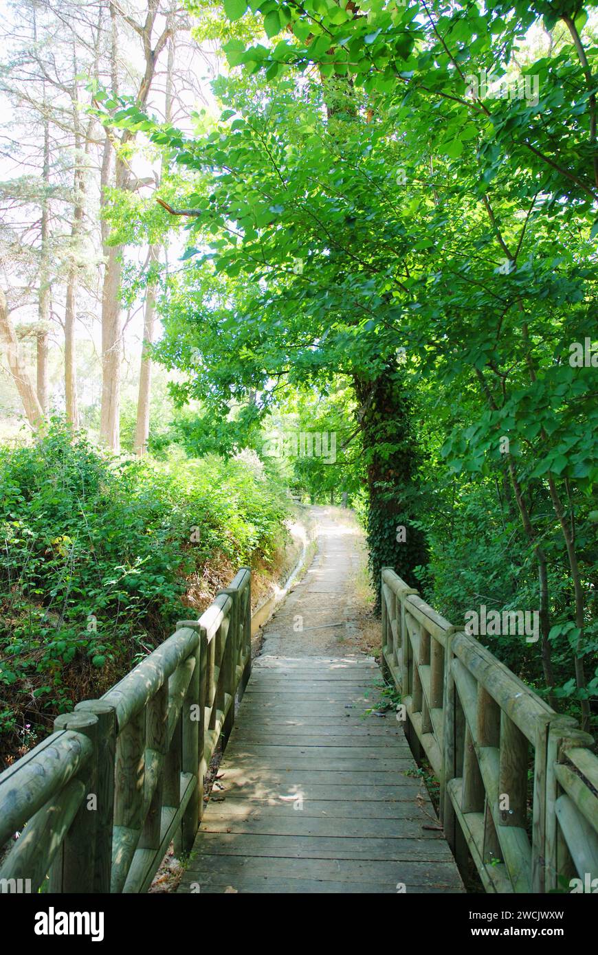 Wooden footbridge and way. Stock Photo