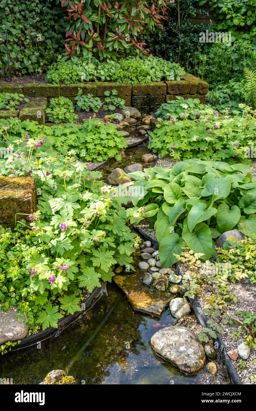 Small ornamental water stream with rocks in garden with geraniums and phlomis, Netherlands Stock Photo