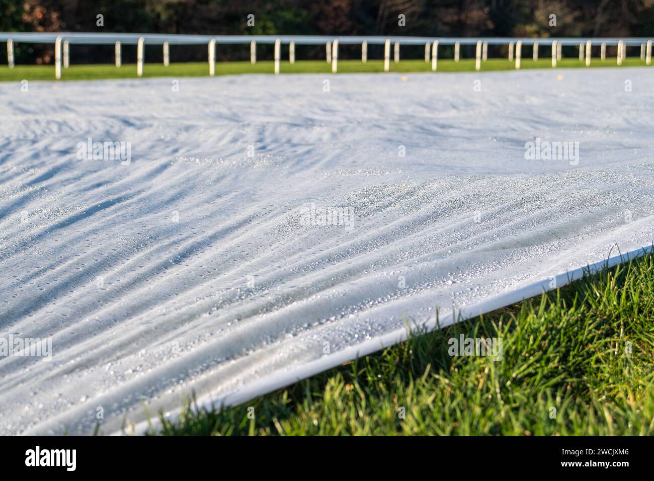 Ascot, UK. 16th January, 2024. Frost sheets have been put down onto the racetrack at Ascot Racecourse in Ascot, Berkshire. Temperatures are expected to drop as low as -5 degrees tonight and tomorrow, however, the weather is due to warm up by the weekend ahead of the BetMGM Clarence House Chase Raceday. Clerk of the course Chris Stickels is keeping a close on the weather before Saturday's big raceday. Jockey Nico de Boinville, who is recovering from a broken collarbone, is expected to be riding horse Jonbon battling it out against horse El Fabiolo. Credit: Maureen McLean/Alamy Live News Stock Photo
