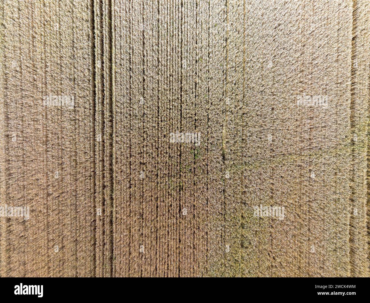 Drone shot cultivated land hi-res stock photography and images - Alamy