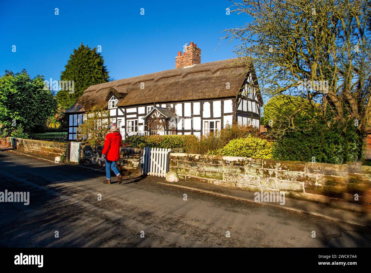 Woman in a red coat walking past black and white half timbered thatched cottages in the Cheshire