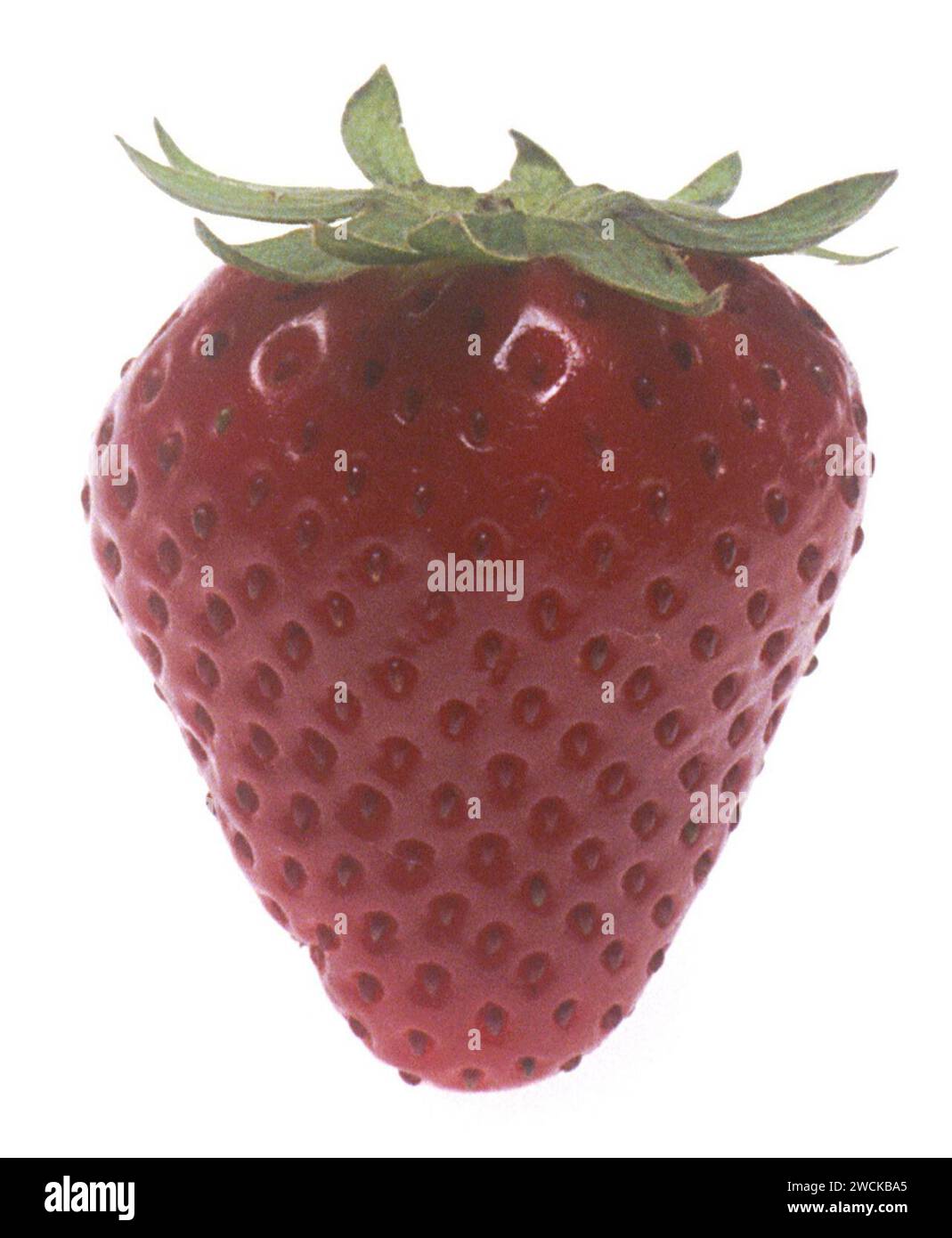 A strawberry with achene Stock Photo - Alamy