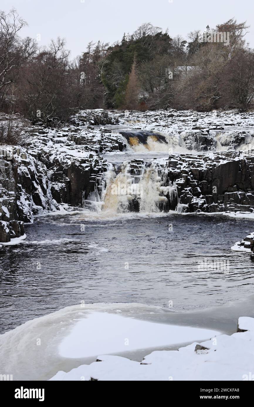 Bowlees, Teesdale, County Durham, UK. 16th January 2024. UK Weather. Wintry scenes on the River Tees at Low Force this afternoon as snow and ice affect Teesdale, County Durham, North East England. Credit: David Forster/Alamy Live News Stock Photo
