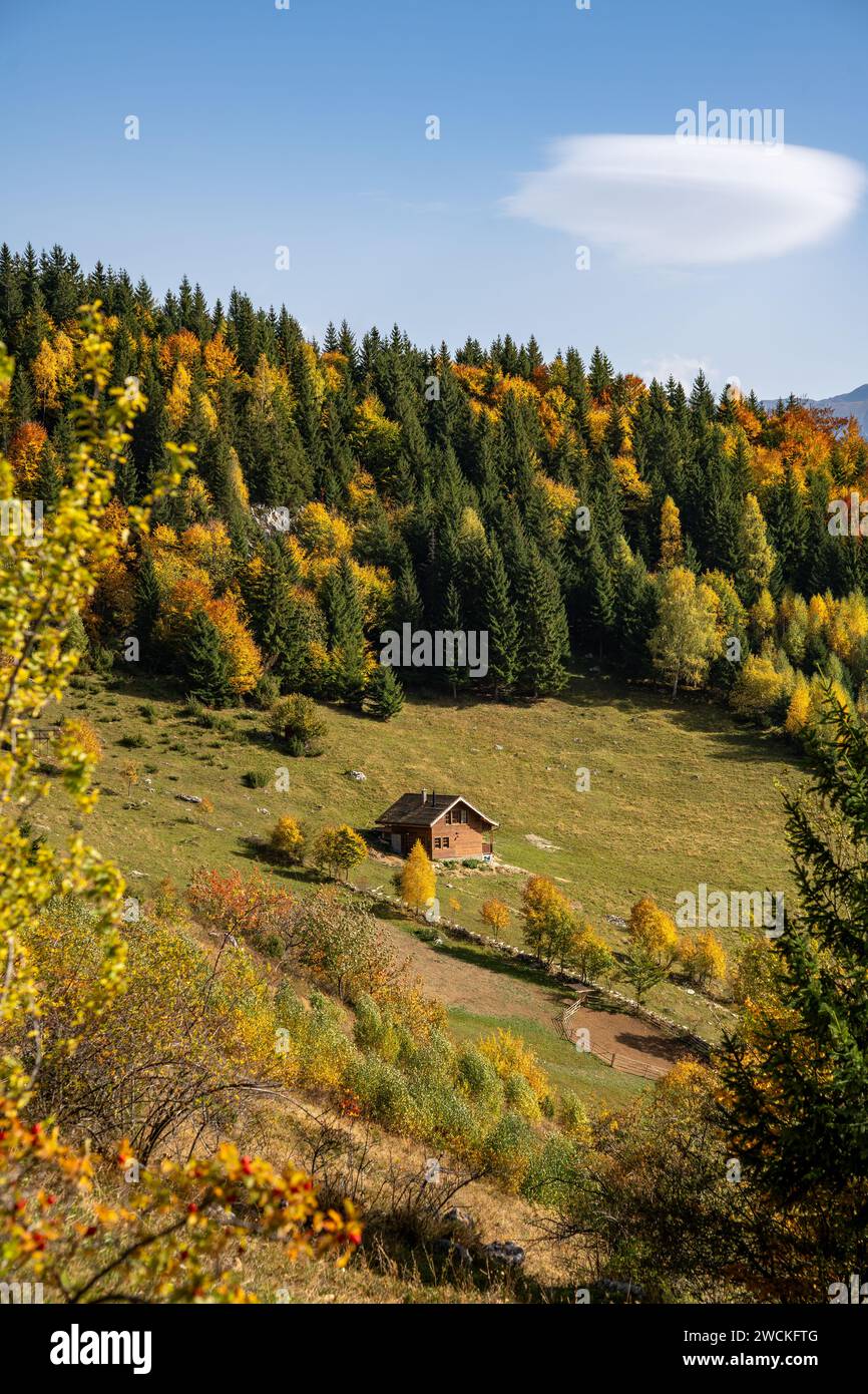 Verdant Ridges Breathtaking view of a verdant mountain range adorned with abundant ...