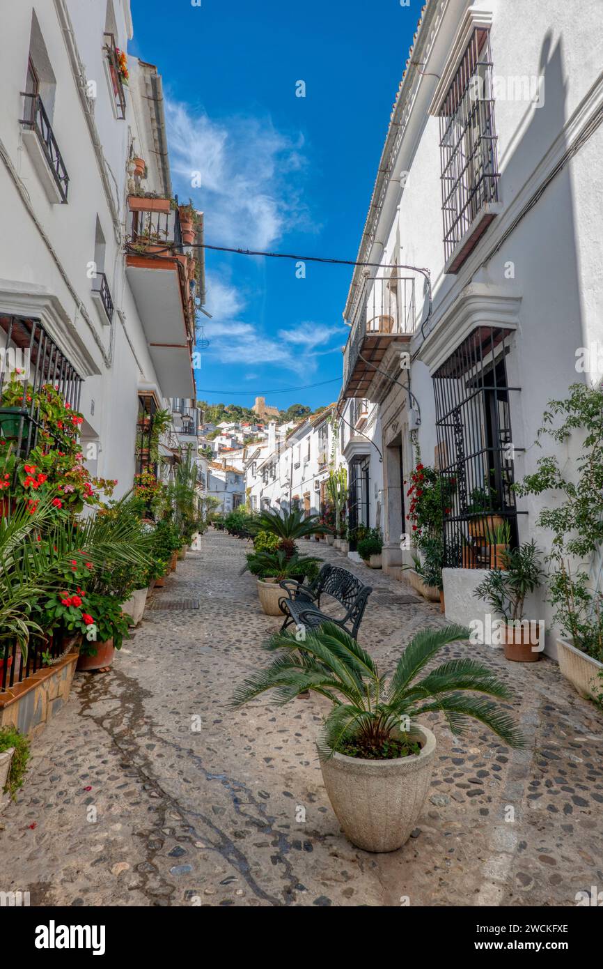 Whitewashed houses on a traditional street decorated with flower pots in the pretty village of Jimena de la Frontera, in the province of Cadiz, Spain. Stock Photo