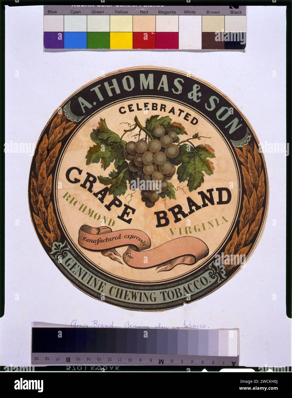 grape chewing tobacco A. Thomas & Son celebrated grape brand genuine chewing tobacco Stock Photo