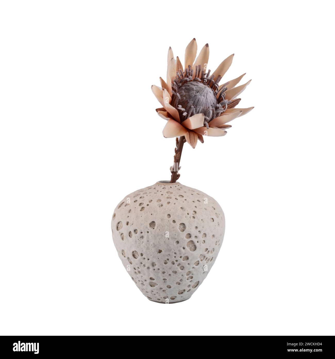 trendy design decorative ceramic vase isolated on white background ...