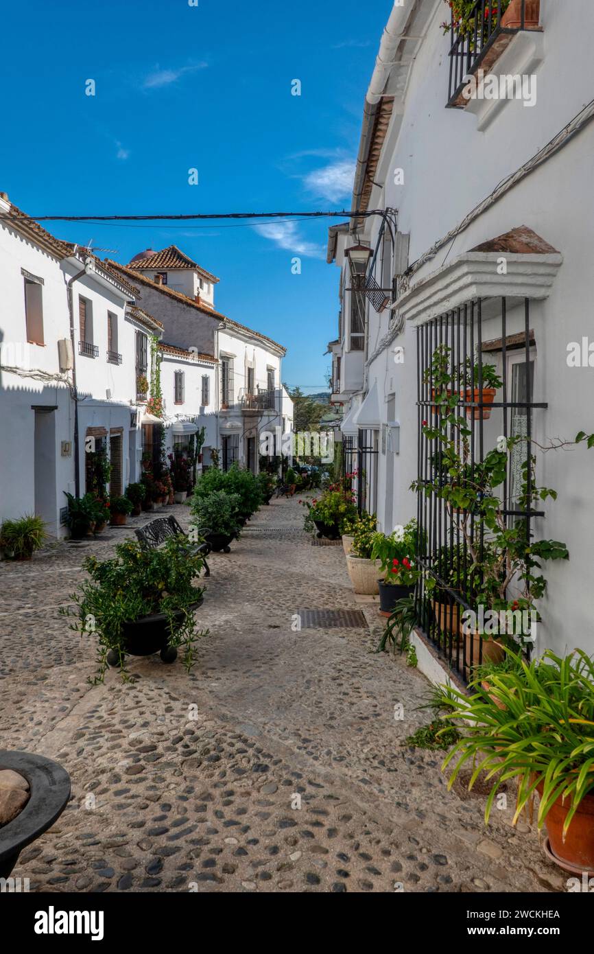 Whitewashed houses on a traditional street decorated with flower pots in the pretty village of Jimena de la Frontera, in Cadiz province, Spain Stock Photo