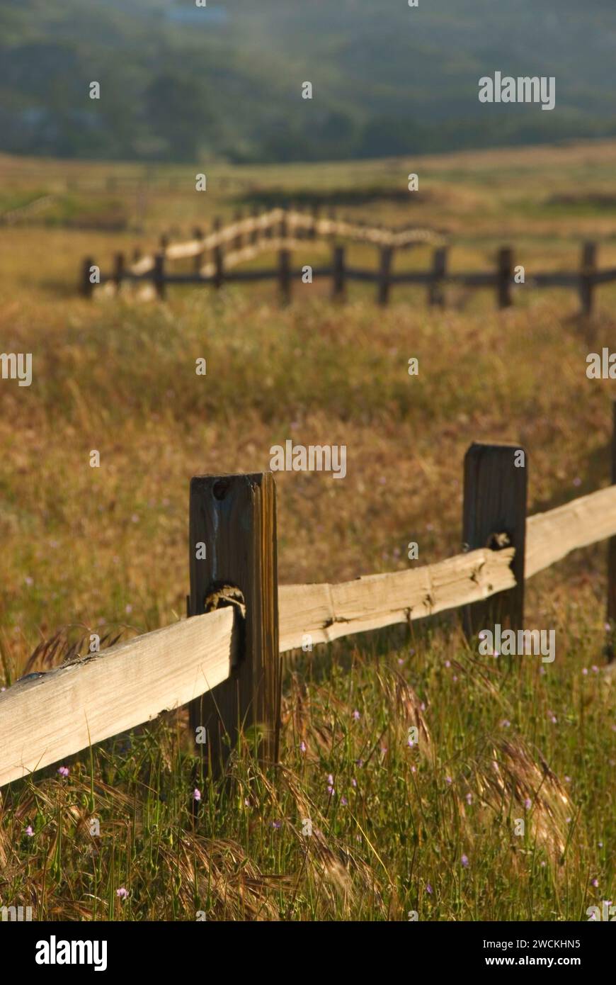 Fence in grassland, Barnett Ranch Open Space Preserve, San Diego County, California Stock Photo