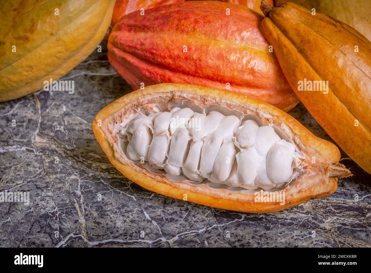 Cocoa pods still life close up whole organic marble top raw fruit Stock Photo