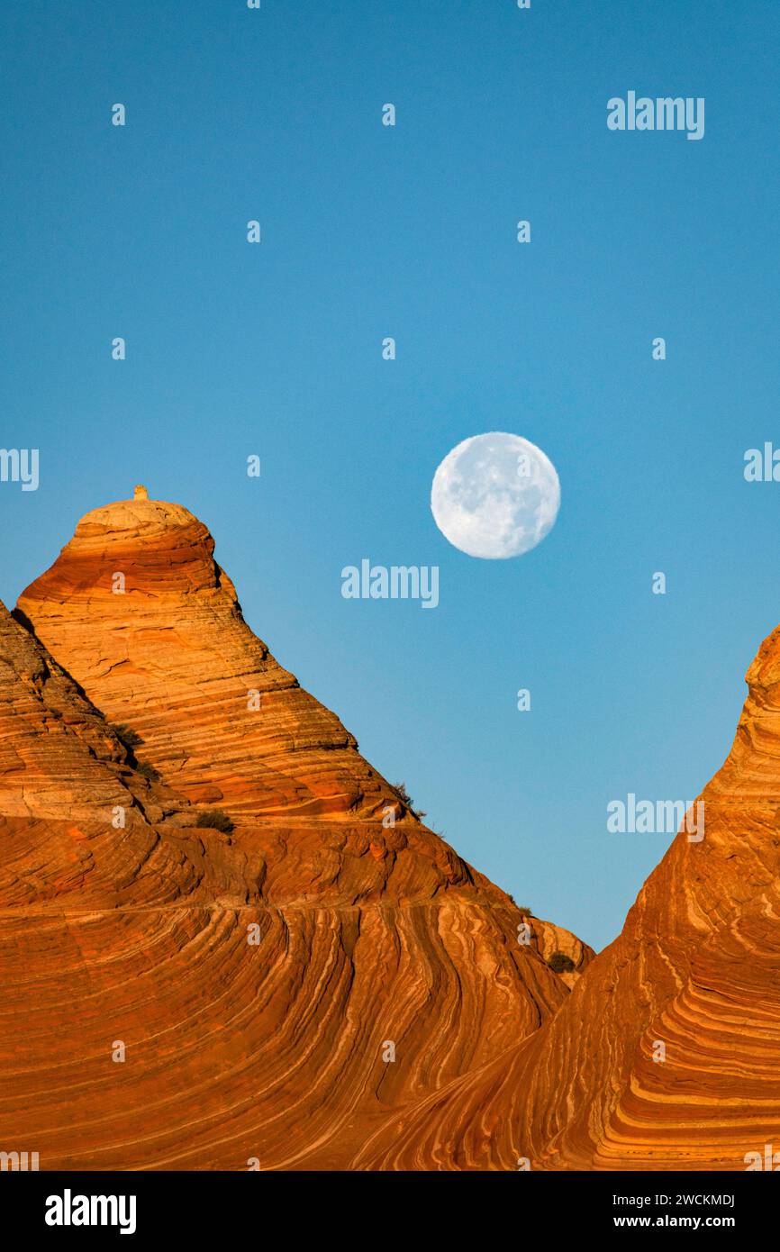 Moonset over cross-bedded sandstones at Coyote Buttes North, Arizona Stock Photo