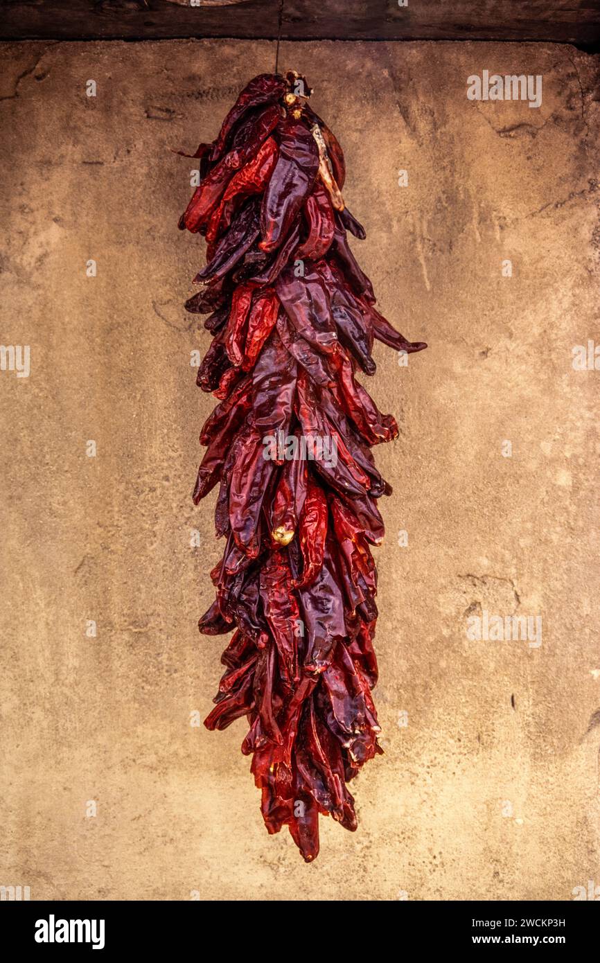 A string of dried chili peppers hanging on a wall in Arizona. Stock Photo