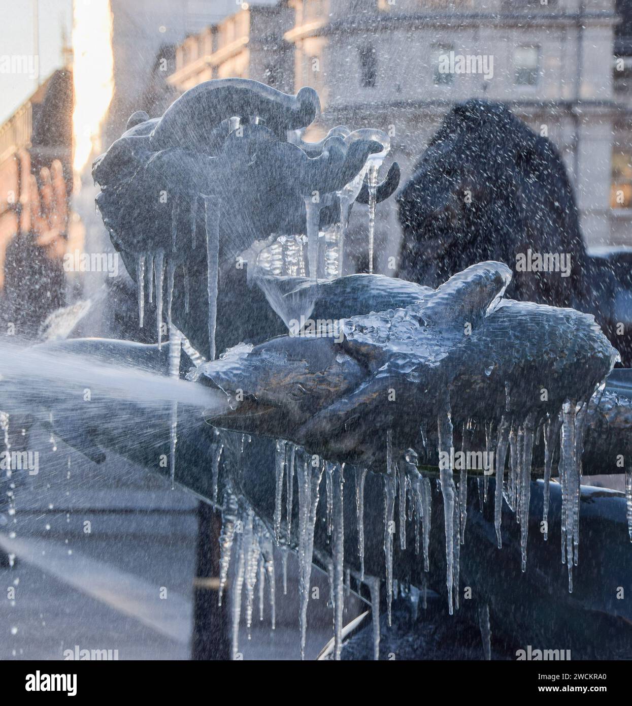 London, UK. 16th January 2024. Trafalgar Square fountains freeze as