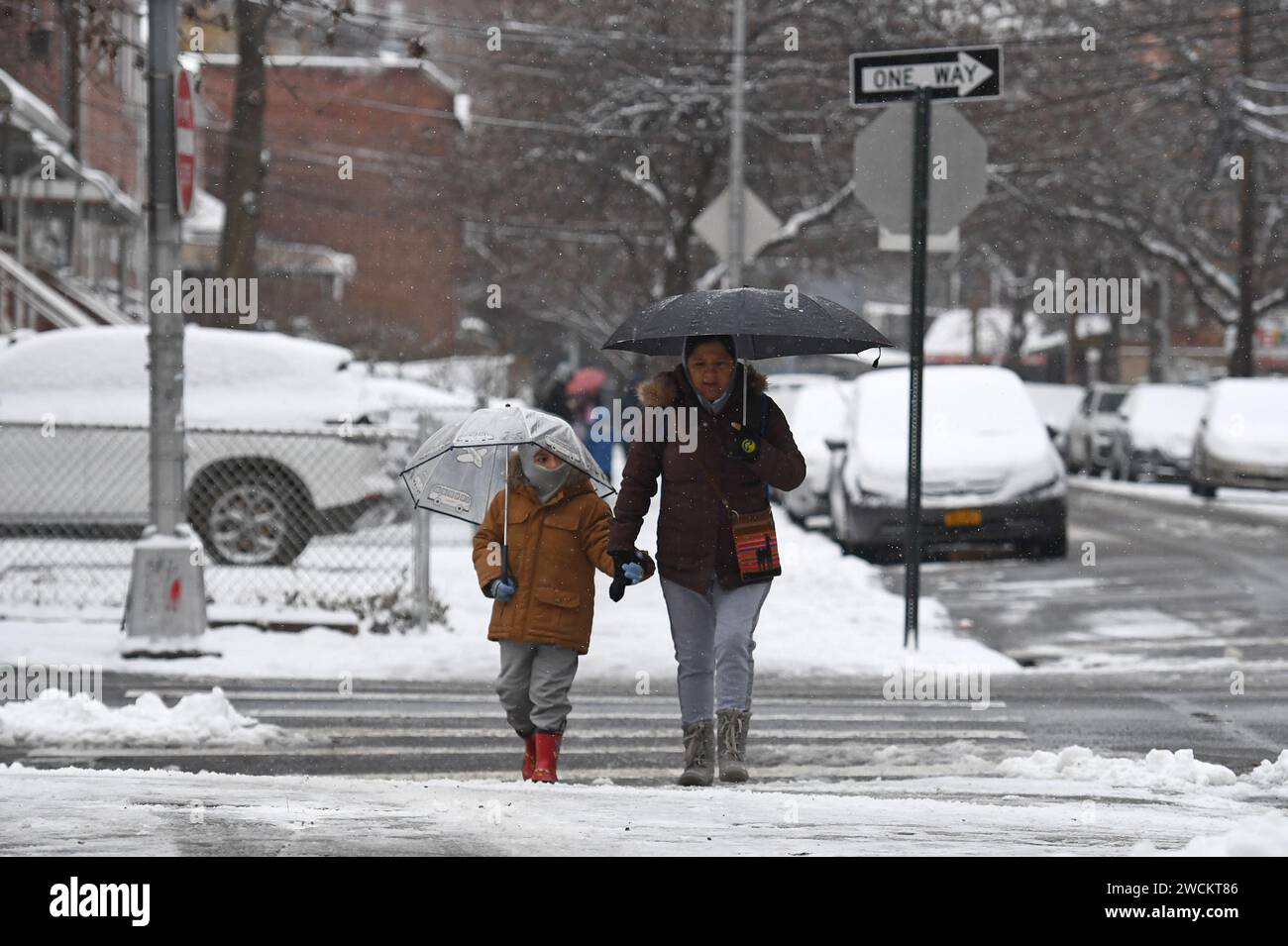 New York, USA. 16th Jan, 2024. A woman and a child cross the street as