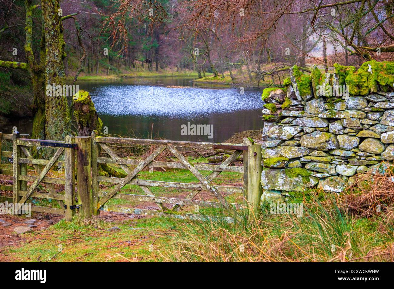 Lanty's Tarn above the village of Glenridding in the Lake District National Park Stock Photo