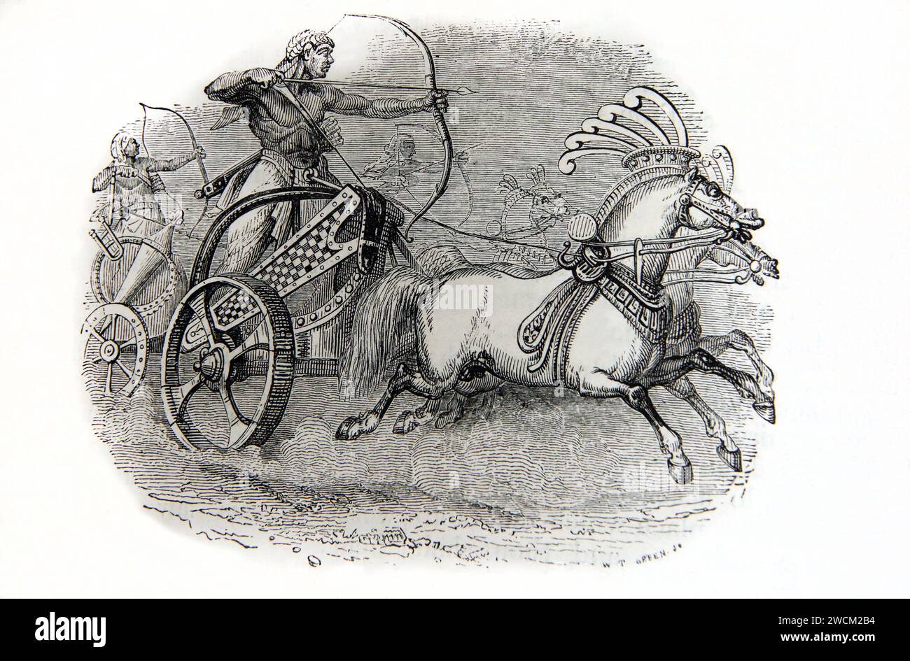 Wood Engraving of A Warrior in and Egyptian War Chariot in 19th Century  Illustrated Family Bible Stock Photo