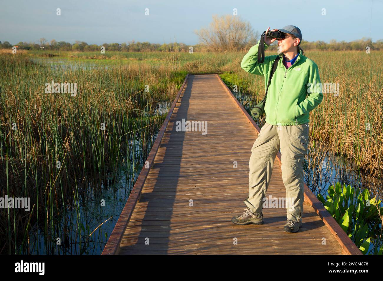 Birding on Boardwalk Trail, Cosumnes River Preserve, California Stock Photo