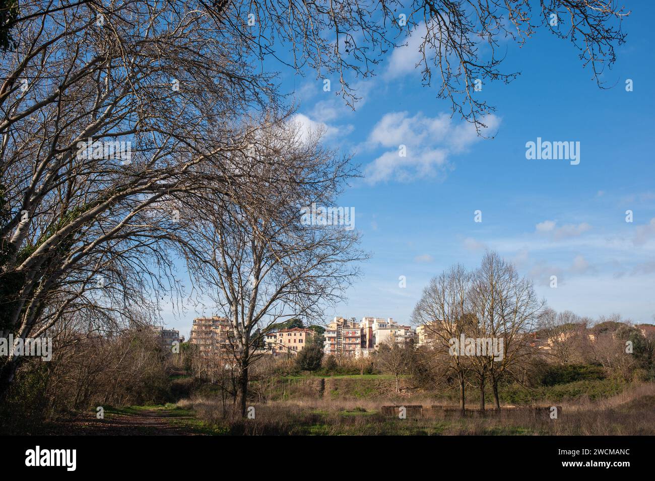 January 14, 2024 - Rome, Italy: Aniene Valley park. © Andrea Sabbadini Stock Photo