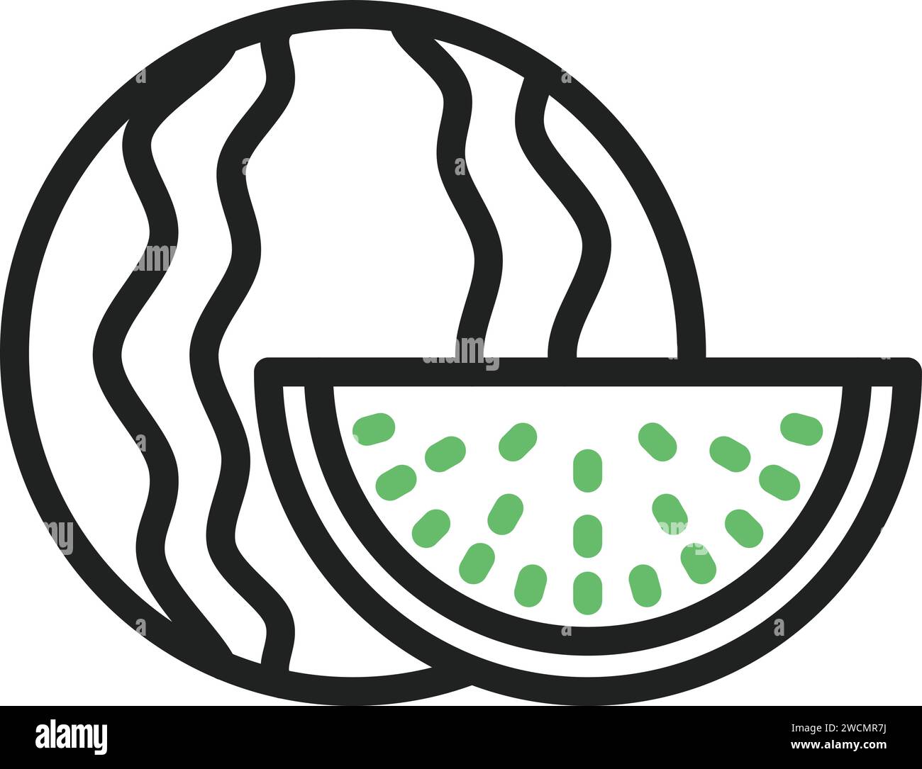Watermelon citrullus lanatus isolated Stock Vector Images - Alamy