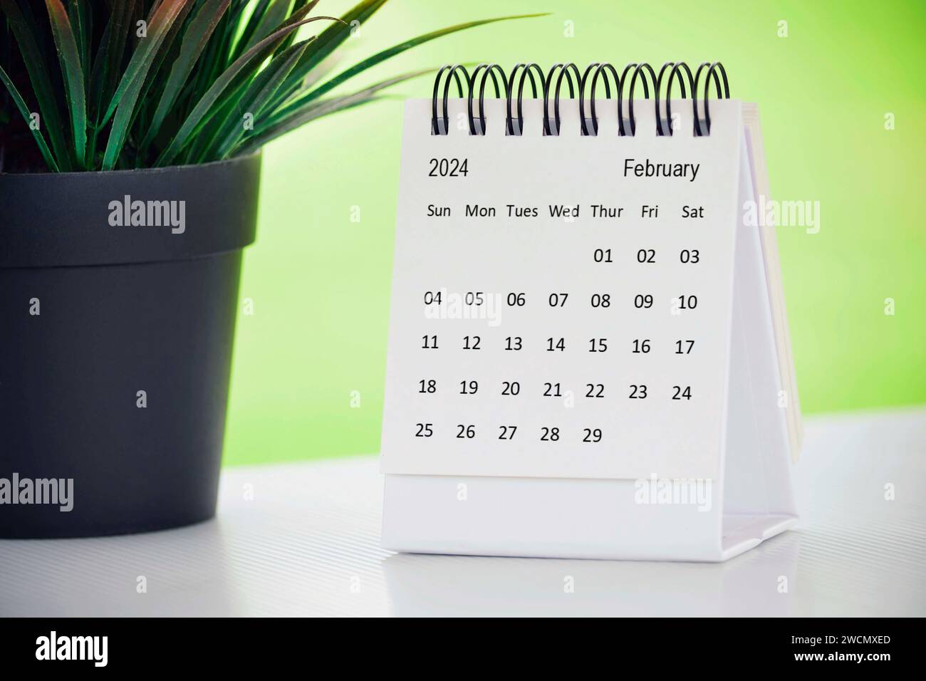 February 2024 desk calendar with potted plant on a desk with green ...