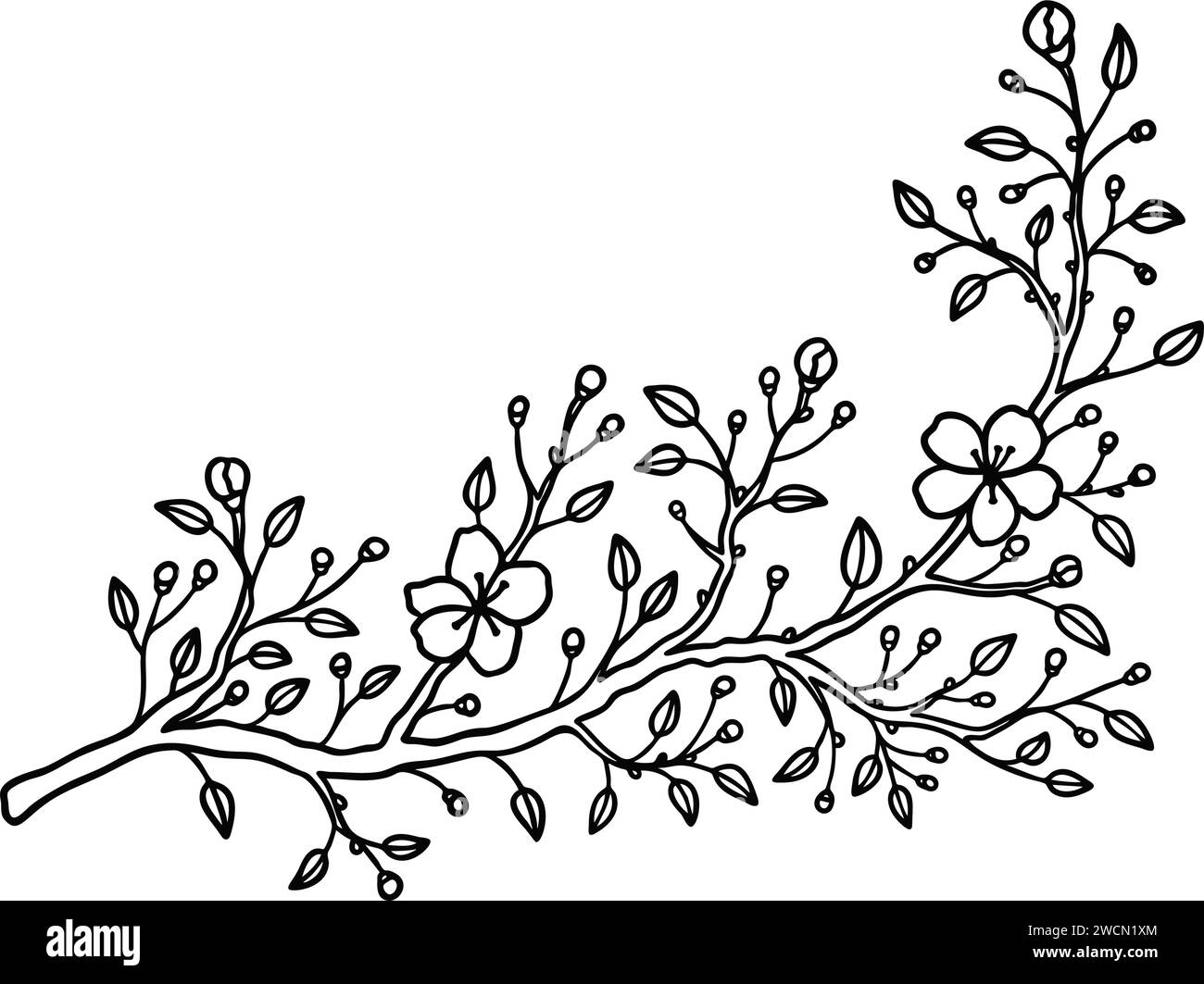 Cherry, sakura, almond, apple, plum spring blossom in line art style. Japanese flower ranch sketch. Outline hand drawn simple illustration. Design ele Stock Vector