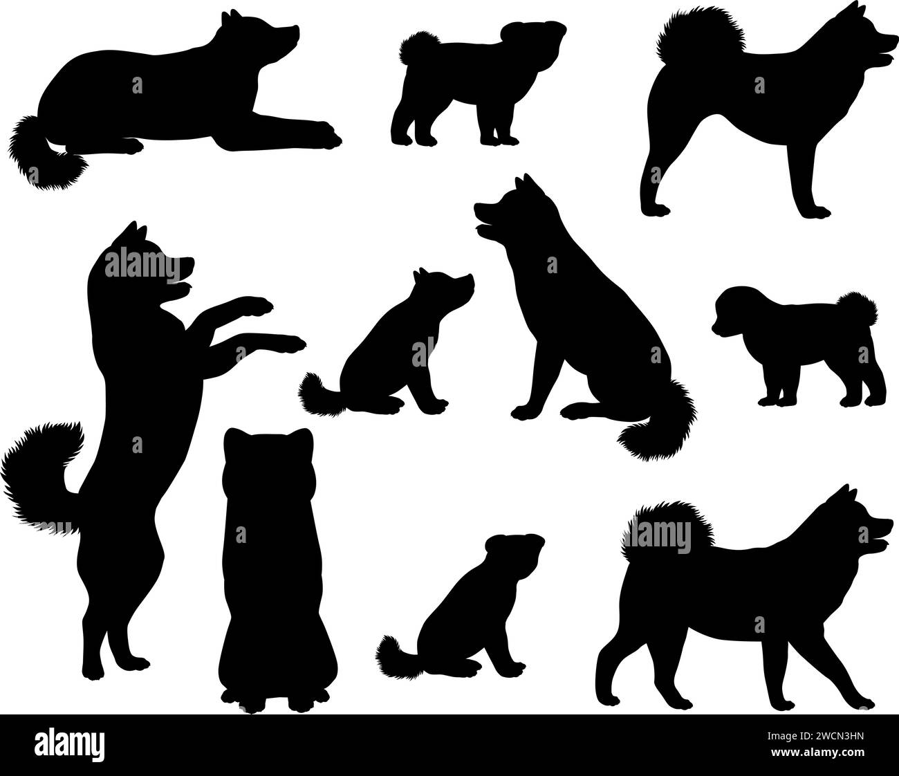 Collection of silhouettes of Japanese Akita or Akita Inu dog breed Stock Vector
