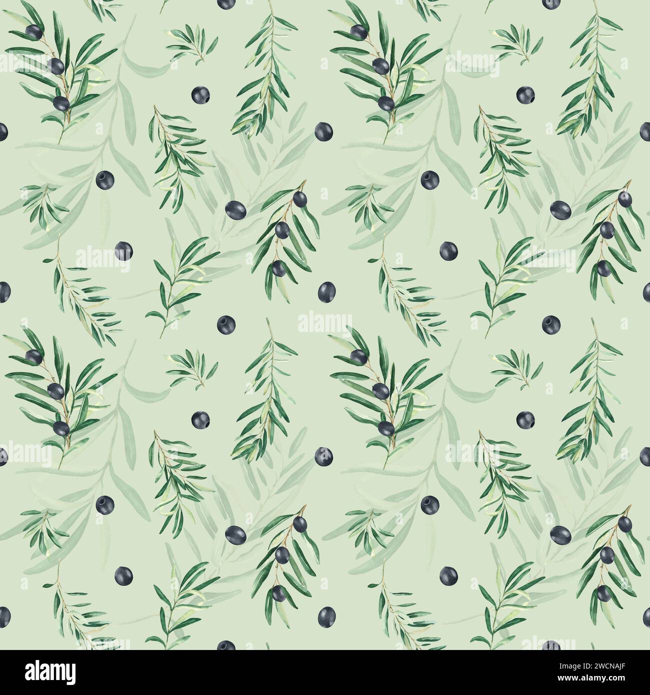 Watercolor seamless pattern with branches of black olives on a green ...
