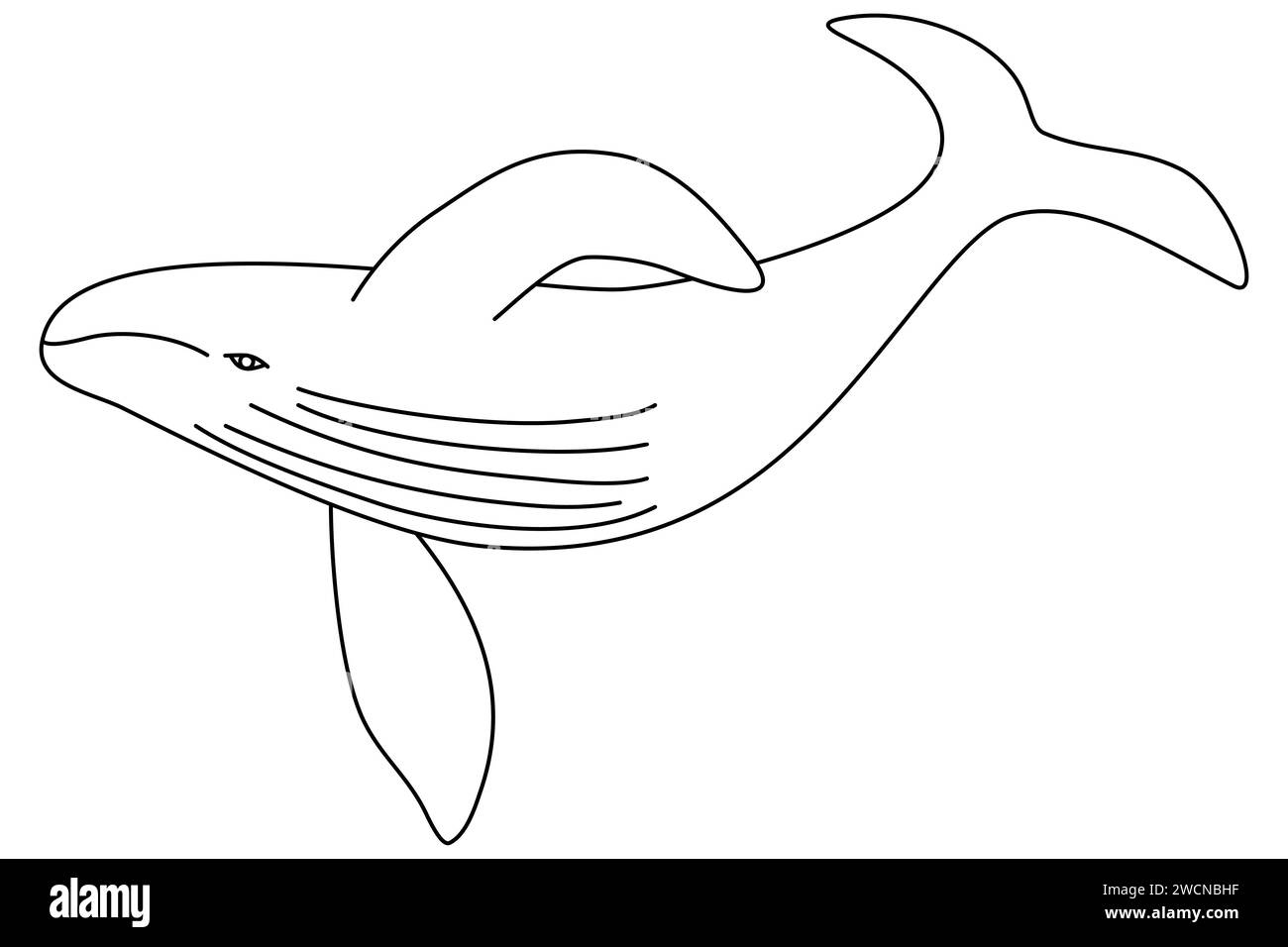 Whale swimming underwater, doodle style flat vector outline illustration for kids coloring book Stock Vector