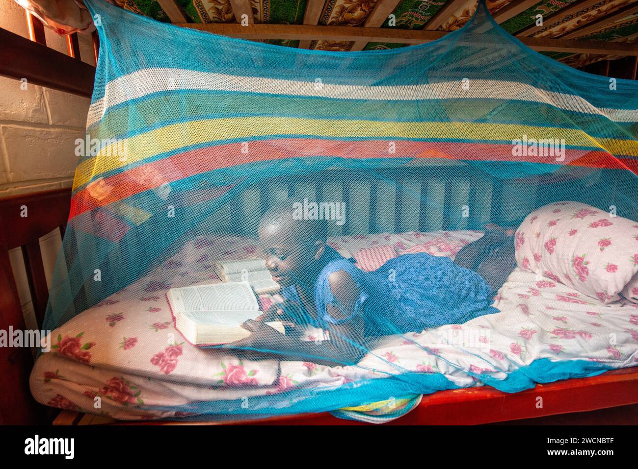 Uganda, Mukono District. A young girl reads in bed under the mosquito