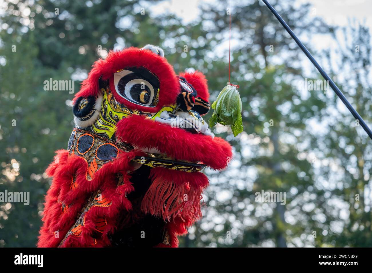 Traditional lion dance. Close-up of one red lion mask. Celebration in Chinese New Year. Stock Photo