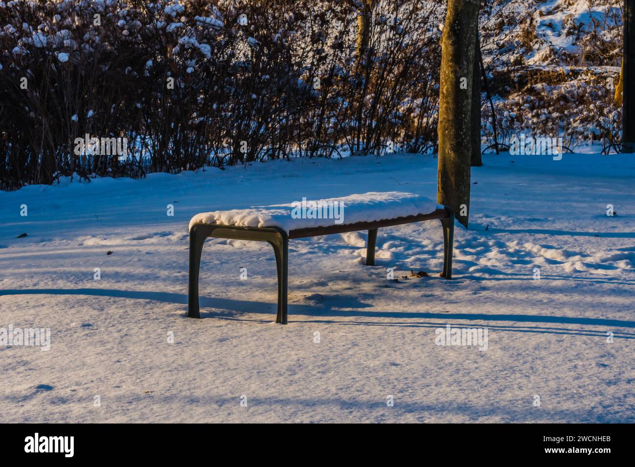 Snow covered park bench in a public park with foot tracks in snow next ...