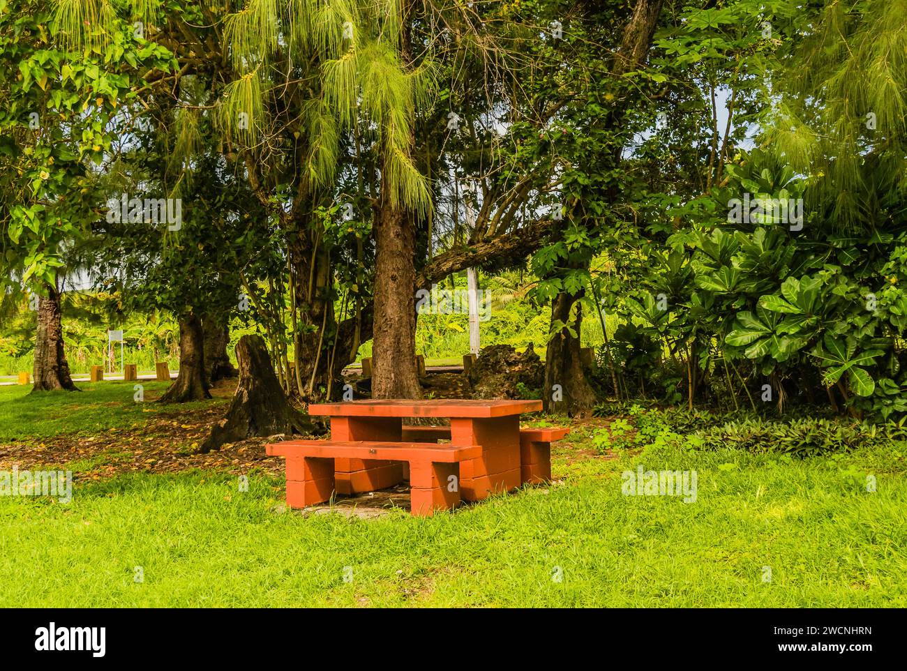 Concrete picnic table in a park under a large shade tree with a road in the background Stock Photo