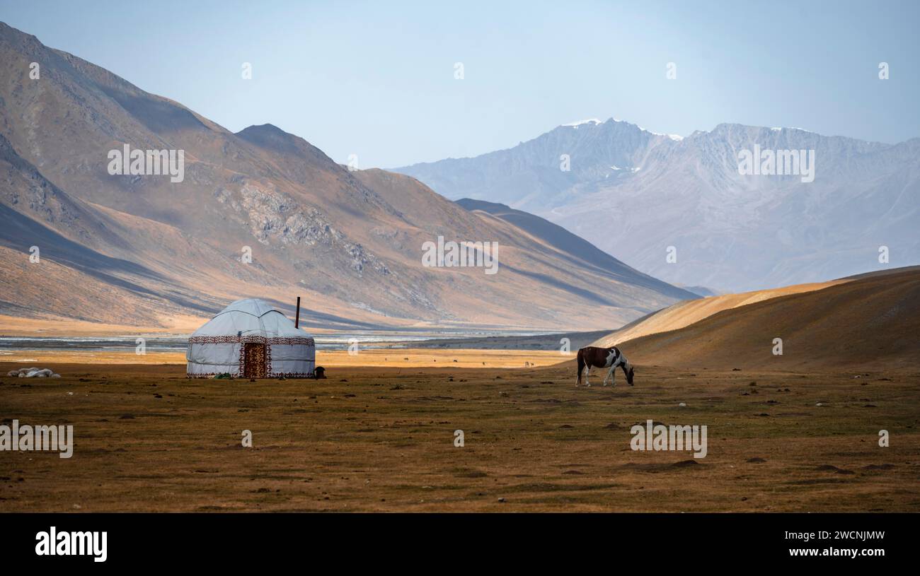 Horses at a traditional Kyrgyz yurt between golden meadows, Burkhan Valley, Terskey Ala-Too, Tien Shan, Issyk Kul Province, Kyrgyzstan Stock Photo